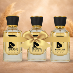 مجموعة عطور فاخرة مستوحاة من العطور: سيكريت سوفاج، عودوود، بلو، وباكارات |